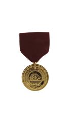 Navy Good Conduct Anodized Medal (Full Size)