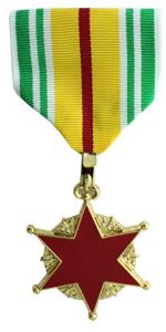 Vietnam Wound (Full Size Medal)