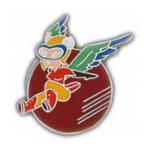 Womans Airforce Service Pilot Pin