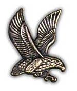 Air Force Falcon Right Pin