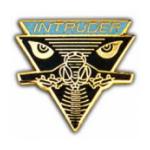 Air Force Intruder Pin