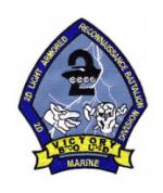 USMC 2nd Light Armor Recon Battalion Patch