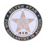 Silver Star Pin