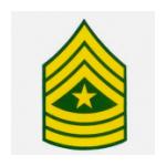 Army E-9 Sergeant Major Outside Window Decal