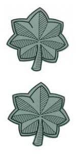 Lieutenant Colonel Outside Window Decal