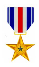 Silver Star Outside Decal with Ribbon