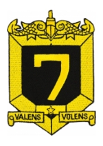 Navy Submarine Squadron 7 Patch