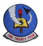 Navy Fighter Squadron VF-124 Patch