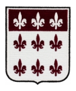 307th Airborne Medical Battalion Patch