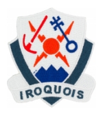 1st Brigade 10th Mountain Iroquois Patch