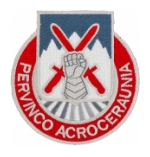 10th Mountain Division Patch