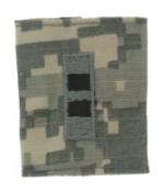 Warrant Officer 2 Gortex Loop