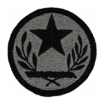 Texas National Guard Headquarters Patch Foliage Green (Velcro Backed)