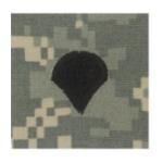 Army Spec 4 (Sew On) (Digital All Terrain)