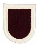 307th Forward Support Battalion Flash