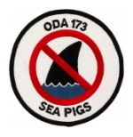 Special Forces ODA-173 Patch