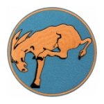 Air Force 95th Bombardment Patch