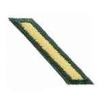 Army Service / Overseas Stripes