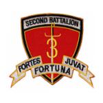 2nd Battalion / 3rd Marines Patch