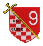 Destroyer Squadron DESRON 9 Patch