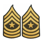 Army Sergeant Major (Sleeve Chevron) (Male)