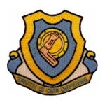 10th Tank Battalion Patch