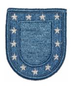 U.S. Army Flash