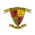 3rd Battalion / 5th Marines Patch