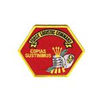 USMC Force Logistic Command Patch