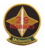 29th Marine Regiment Patch