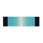 Antarctica Service (Ribbon)