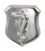 Air Force Veterinarian Badge
