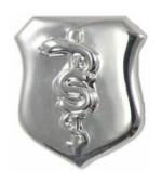 Air Force Bio Medical Scientist Badge (Nickel)