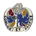 202nd Military Intelligence Battalion Distinctive Unit Insignia