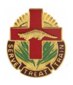 345th Combat Support Distinctive Unit Insignia