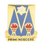 303rd Military Intelligence Battalion Distinctive Unit Insignia