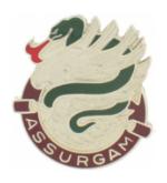 626th Support Battalion Distinctive Unit Insignia