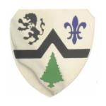 364th Regiment Distinctive Unit Insignia