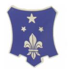 351st Regiment Distinctive Unit Insignia