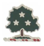 Tennessee STARC Distinctive Unit Insignia