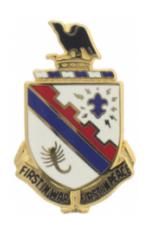 161st  Infantry Distinctive Unit Insignia