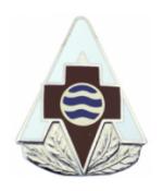 75th Combat Support Hospital Distinctive Unit Insignia