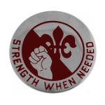 249th General Hospital Distinctive Unit Insignia