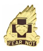 21st Combat Support Hospital Distinctive Unit Insignia