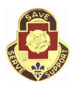  339th Combat Support Hospital Distinctive Unit Insignia