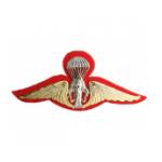 Thailand Army Parachutist Wings  (Nickel and Gold Finish)