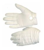 Parade Gloves