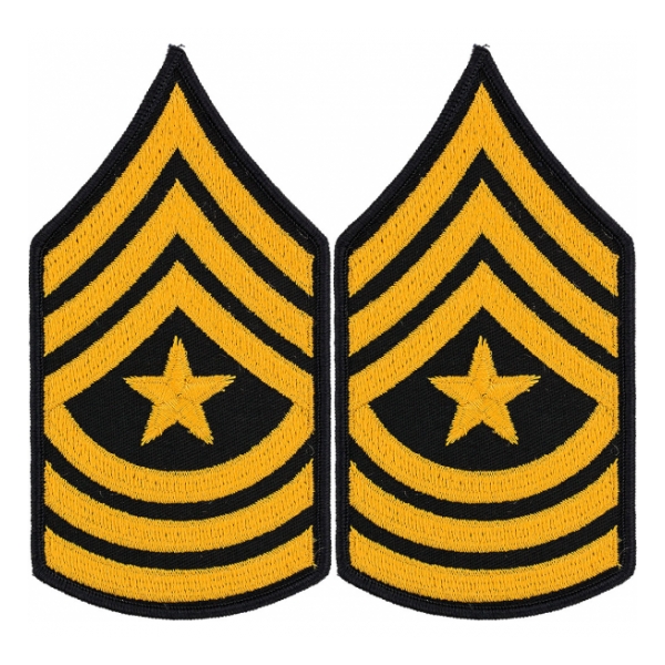 Army Sergeant Major (Sleeve Chevron) (Male)