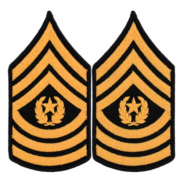 Army Command Sergeant Major (Sleeve Chevron) (Male)