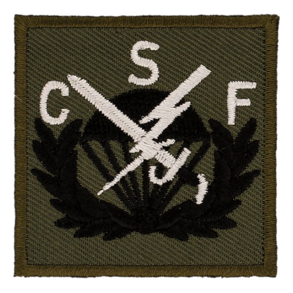506th Airborne Strike Force Patch